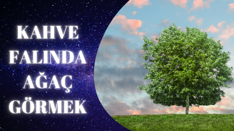Kahve Falında Ağaç Görmek
