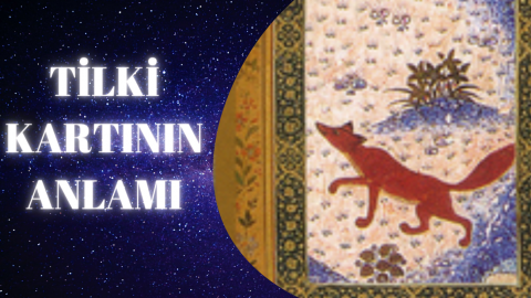 Katina Tilki Kartı Anlamı