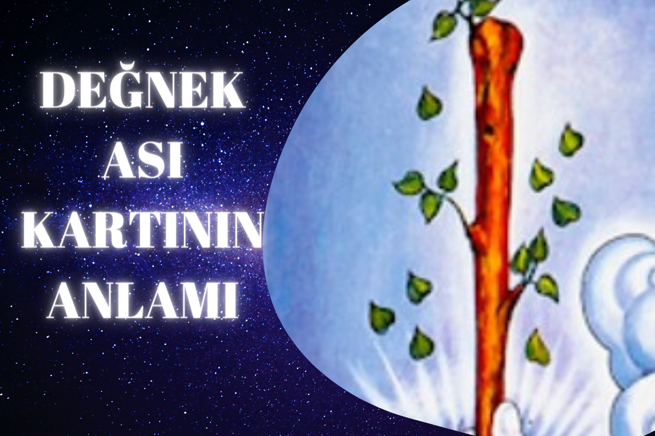 Tarot Değnek Ası Kartının Anlamı
